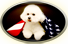 Gov